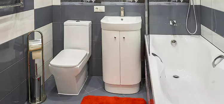 Hansgrohe Shaving Mirror Fort Myers